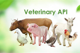Veterinary API